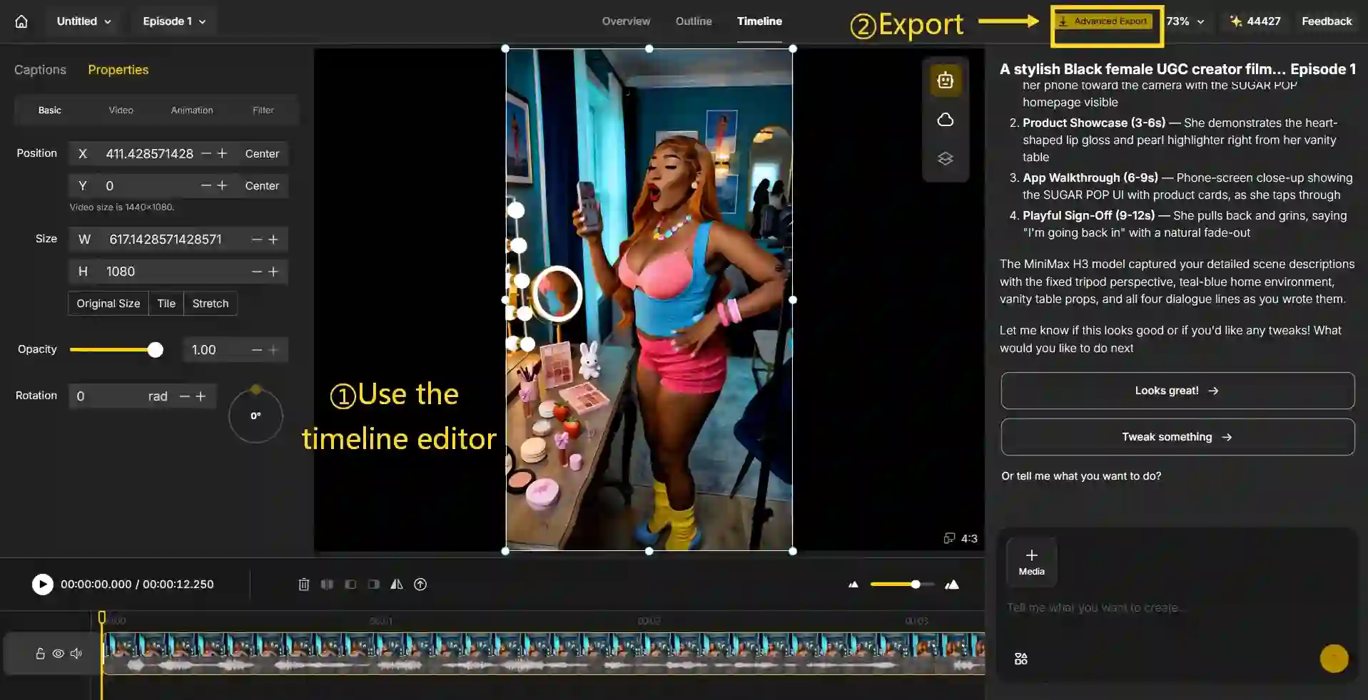 Step 3 Timeline and Export