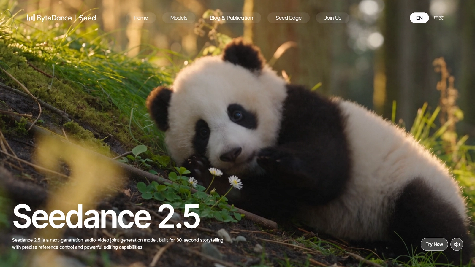Seedance 2.5 Homepage
