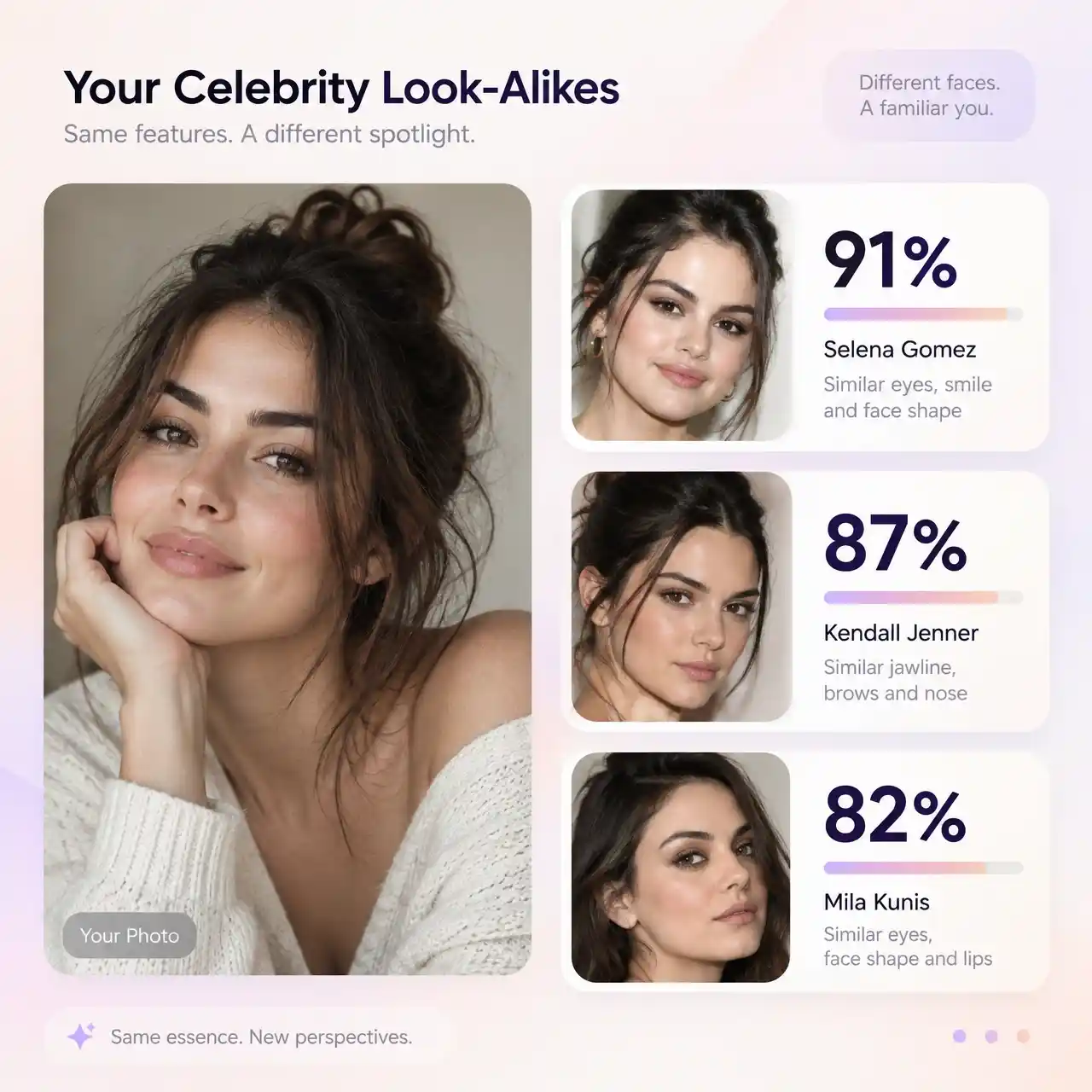 Similarity scores for each celebrity match